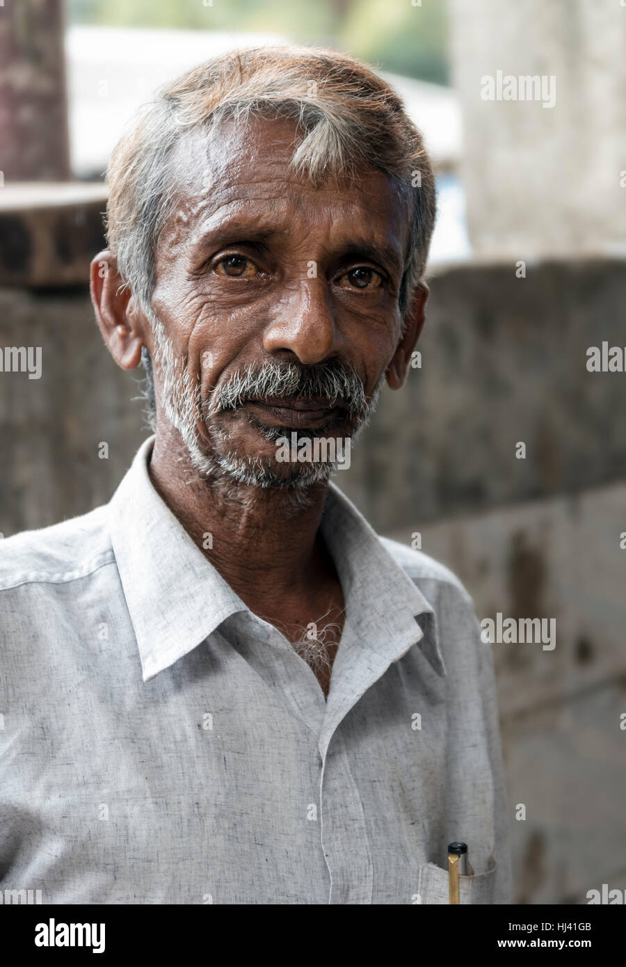 Ritratto di Indian pescivendolo, Cochin, India Foto Stock