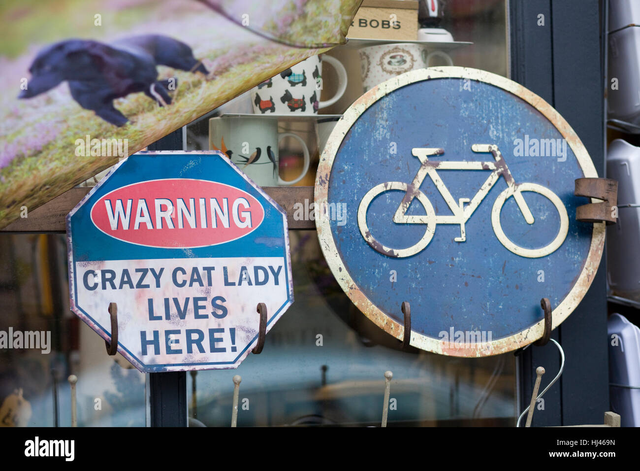 Cartello in metallo avvertimento "Crazy cat lady vive qui e segno di bicicletta Foto Stock