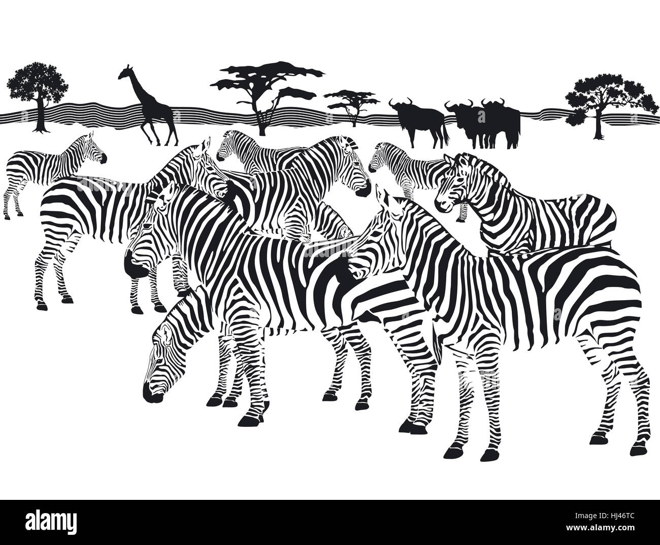 Animale mammifero, Wild, africa, savana, nero, swarthy, jetblack, nero profondo, Foto Stock