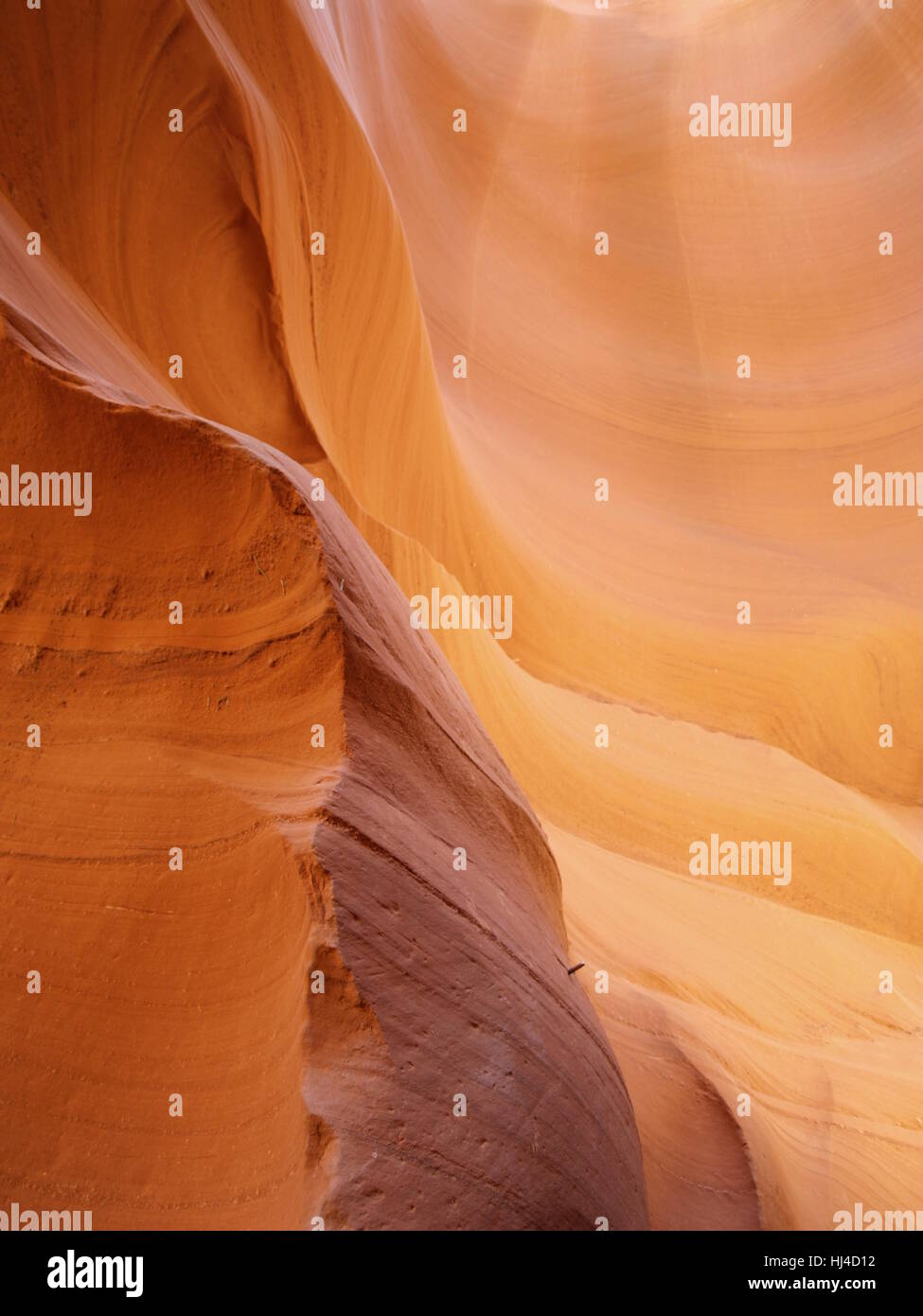 Bella, beauteously, Nizza, colore, pietra, deserto wasteland, americano, grotta, Foto Stock