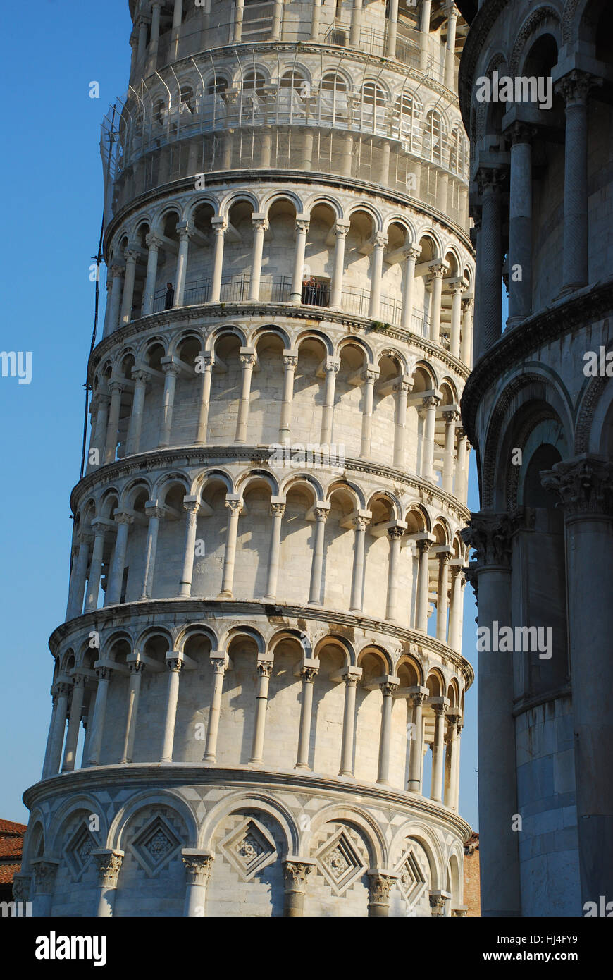 Torre pendente di Pisa Toscana Italia Foto Stock