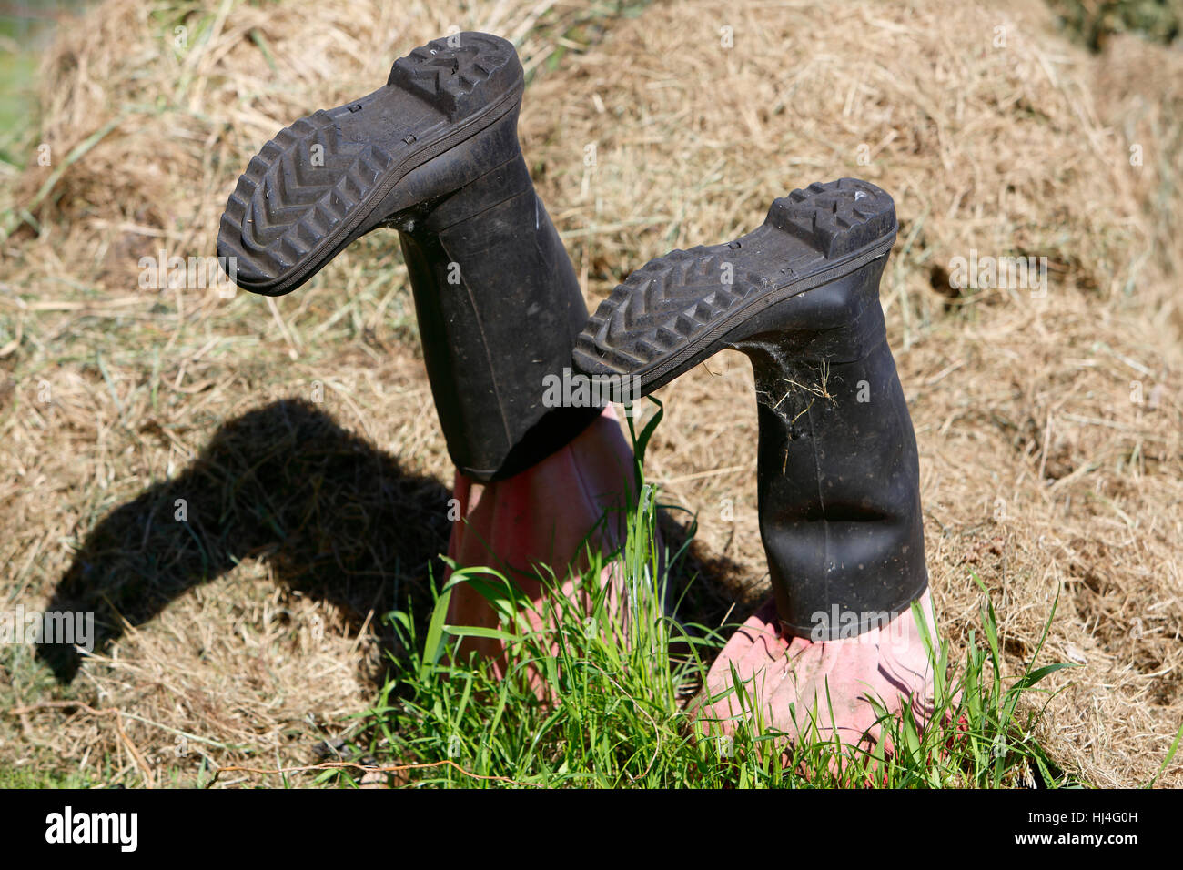 Stivali in gomma bloccato in erba, Meclemburgo-Pomerania Occidentale, Germania Foto Stock