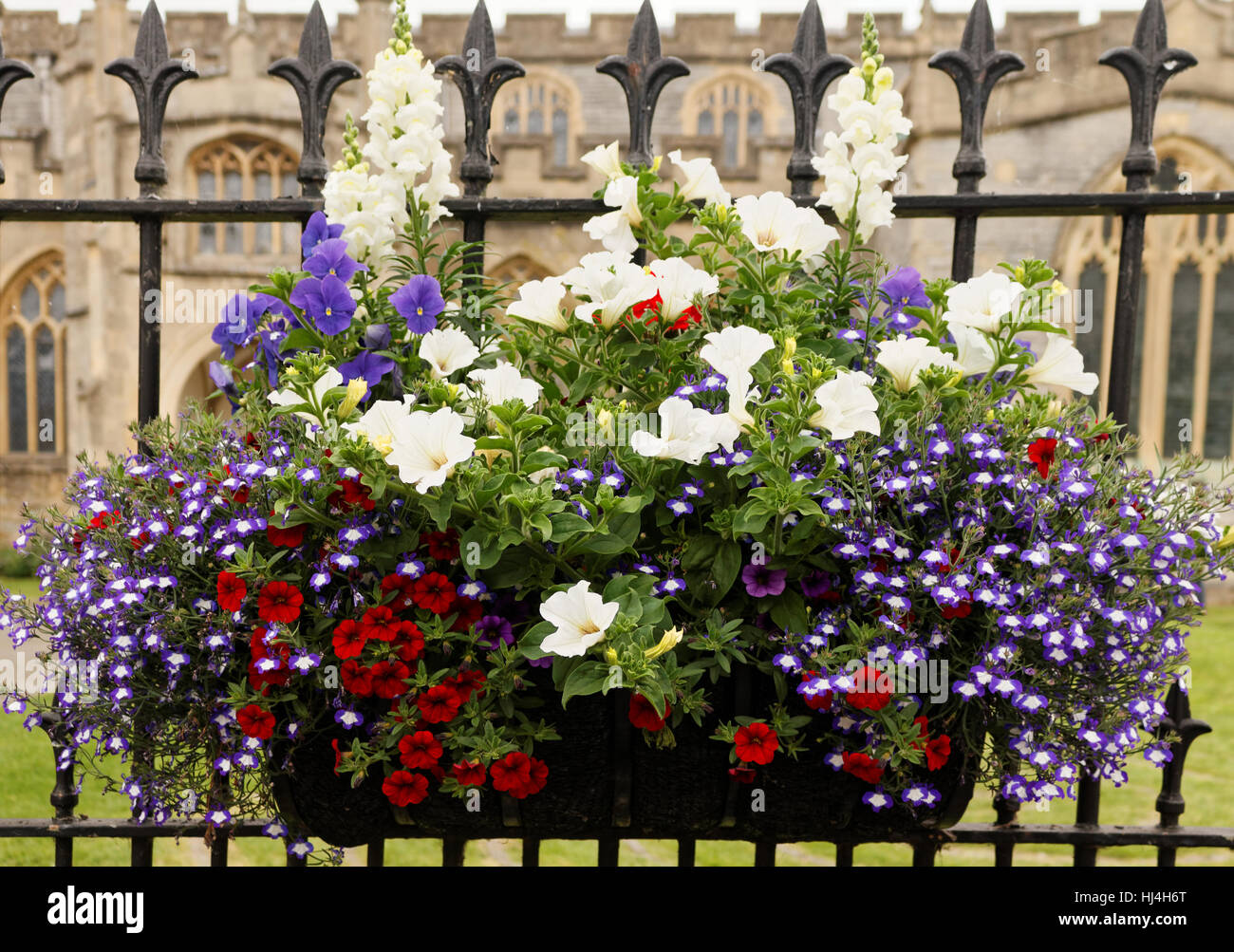 Ferro battuto recinto con fiori, Glastonbury, Somerset, Inghilterra, Regno Unito Foto Stock