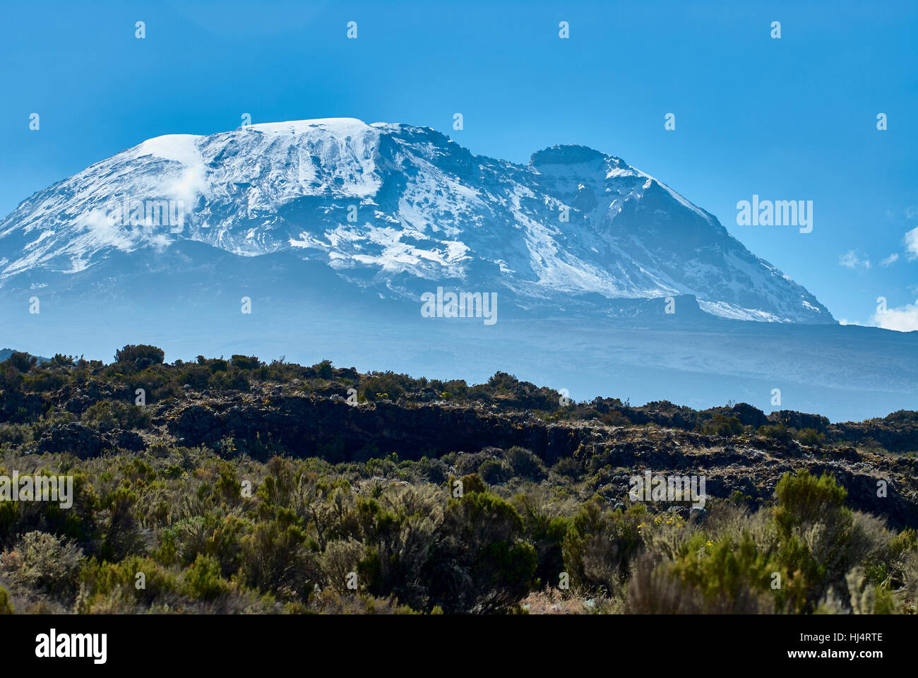 Mt Kilimanjaro, vista del Kibo peak da Shira Plateau Foto Stock