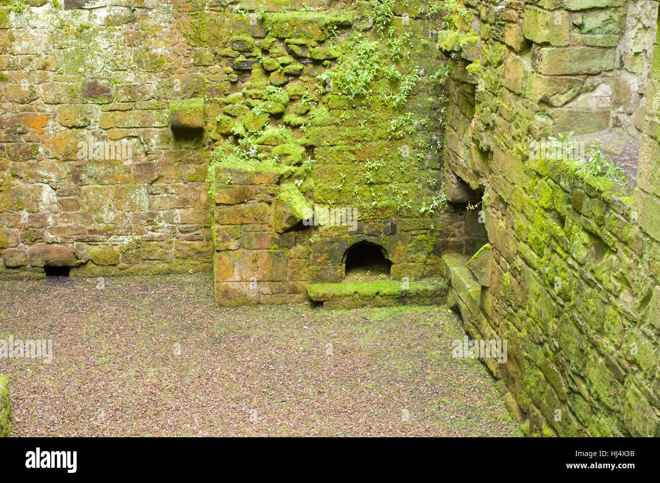 All'interno in vista laterale del vecchio castello scozzese macchiata e coperte di muschio Hermitage castle Scozia UK Foto Stock
