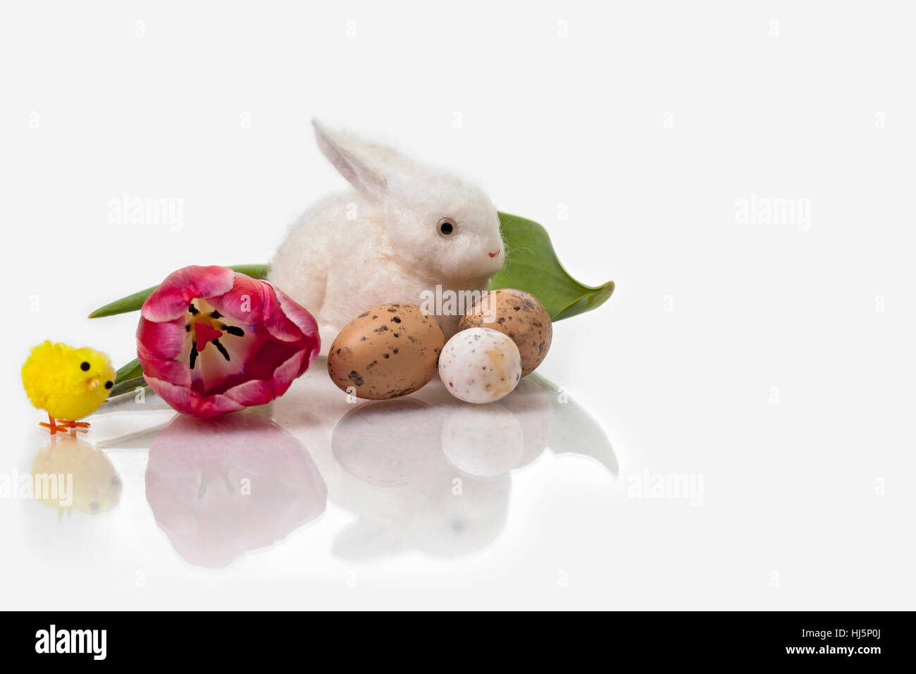 Pasqua, la molla, opzionale, verde, bloom, blossom, fiorire, fiorente, fiore, Foto Stock