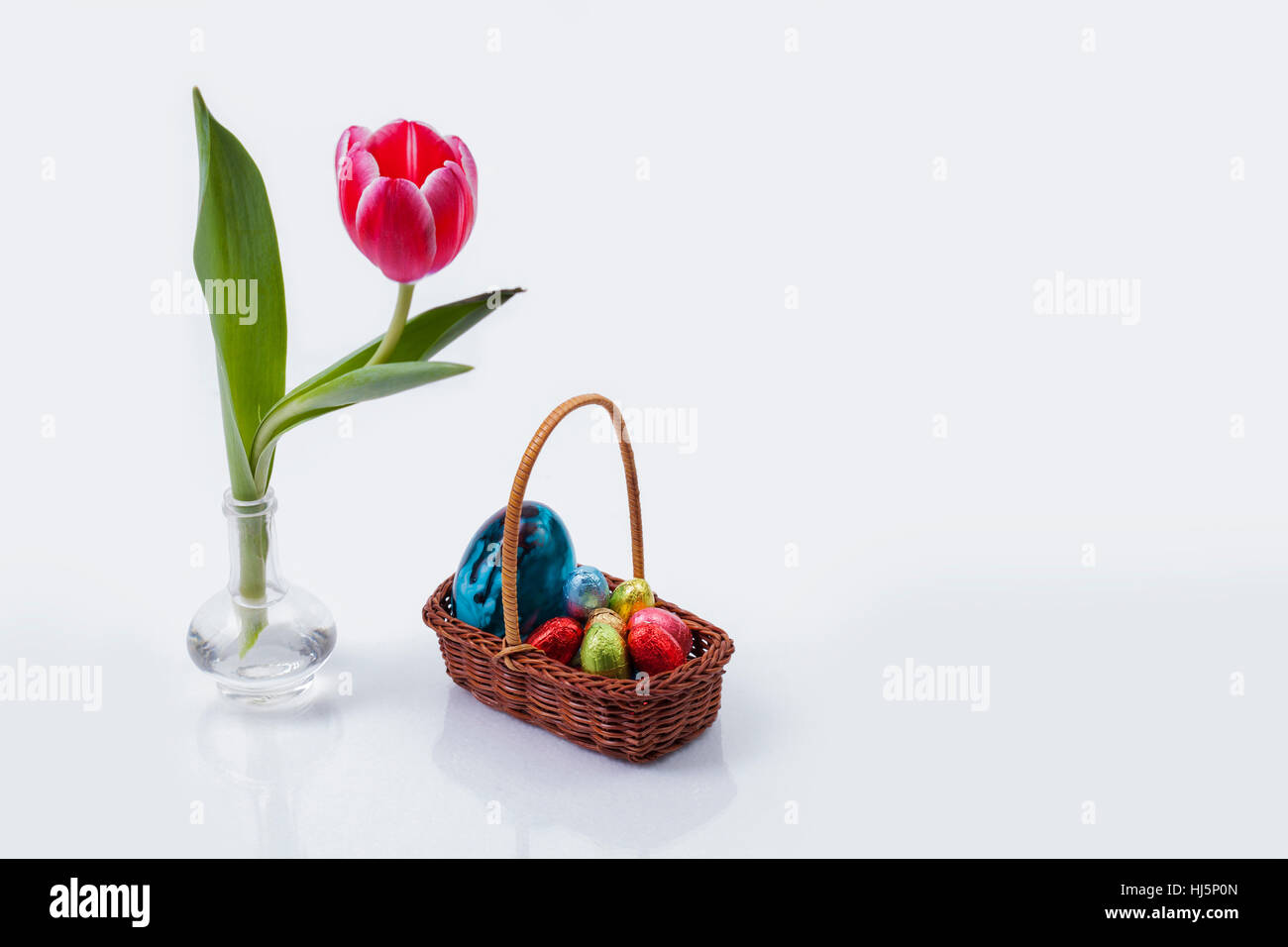 tulipano Pasqua Foto Stock