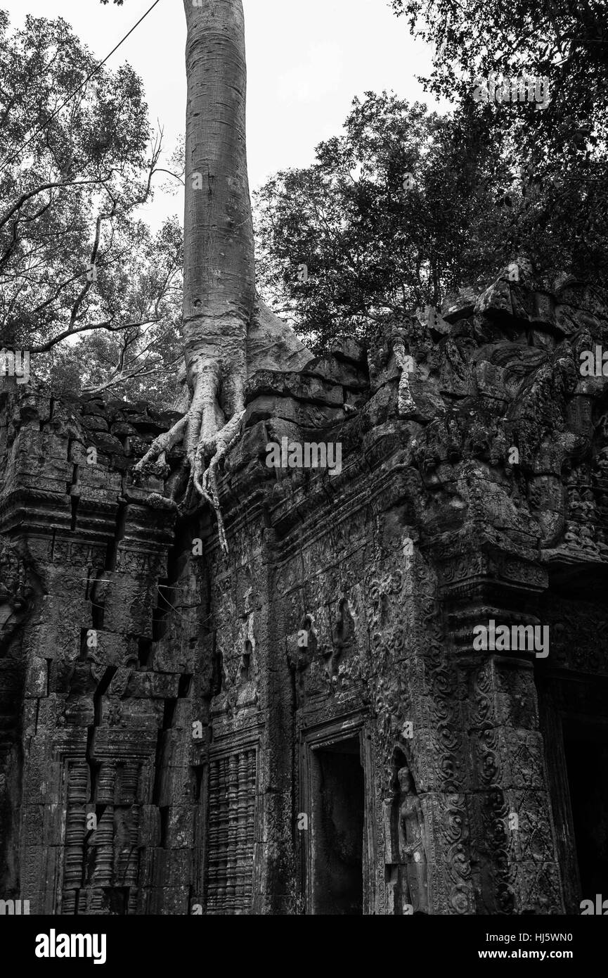 Siem Reap, Siem Reap, Cina. 7 Nov, 2016. Siem Reap, Cambodia-November 7 2016: (solo uso editoriale. Cina OUT) .la foto in bianco e nero di Angkor Wat in Siem Reap, Cambogia. Angkor Wat è un complesso tempio in Cambogia e il più grande monumento religioso nel mondo, con la misurazione del sito 162,6 ettari (1,626,000 m2; 402 acri). Esso è stato originariamente costruito come un tempio indù di dio Vishnu per l'Impero Khmer, trasformando progressivamente in un tempio buddista verso la fine del XII secolo. Credito: SIPA Asia/ZUMA filo/Alamy Live News Foto Stock