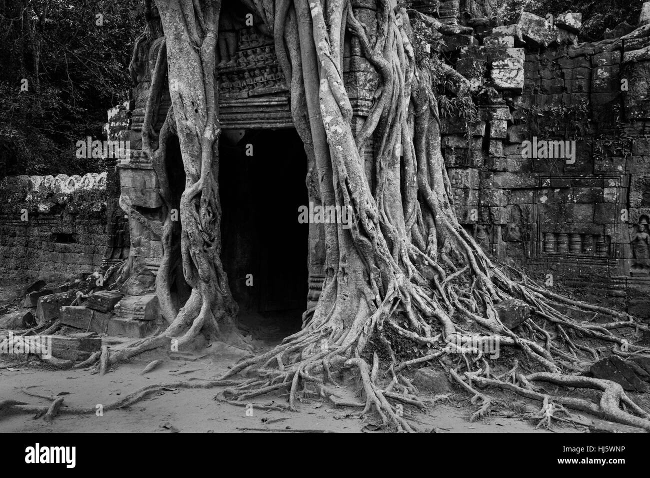 Siem Reap, Siem Reap, Cina. 7 Nov, 2016. Siem Reap, Cambodia-November 7 2016: (solo uso editoriale. Cina OUT) .la foto in bianco e nero di Angkor Wat in Siem Reap, Cambogia. Angkor Wat è un complesso tempio in Cambogia e il più grande monumento religioso nel mondo, con la misurazione del sito 162,6 ettari (1,626,000 m2; 402 acri). Esso è stato originariamente costruito come un tempio indù di dio Vishnu per l'Impero Khmer, trasformando progressivamente in un tempio buddista verso la fine del XII secolo. Credito: SIPA Asia/ZUMA filo/Alamy Live News Foto Stock