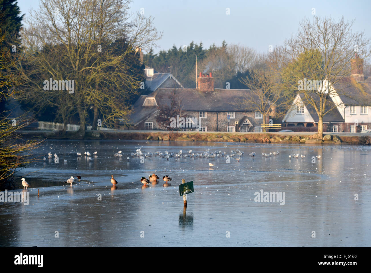 Brighton Sussex, Regno Unito. Il 22 gennaio, 2017. Falmer laghetto ghiacciato nella nebbia appena a nord di Brighton come il freddo continua in tutta la Gran Bretagna meridionale con temperature meteo a scendere a meno 5 gradi centigradi in alcune aree Credito: Simon Dack/Alamy Live News Foto Stock
