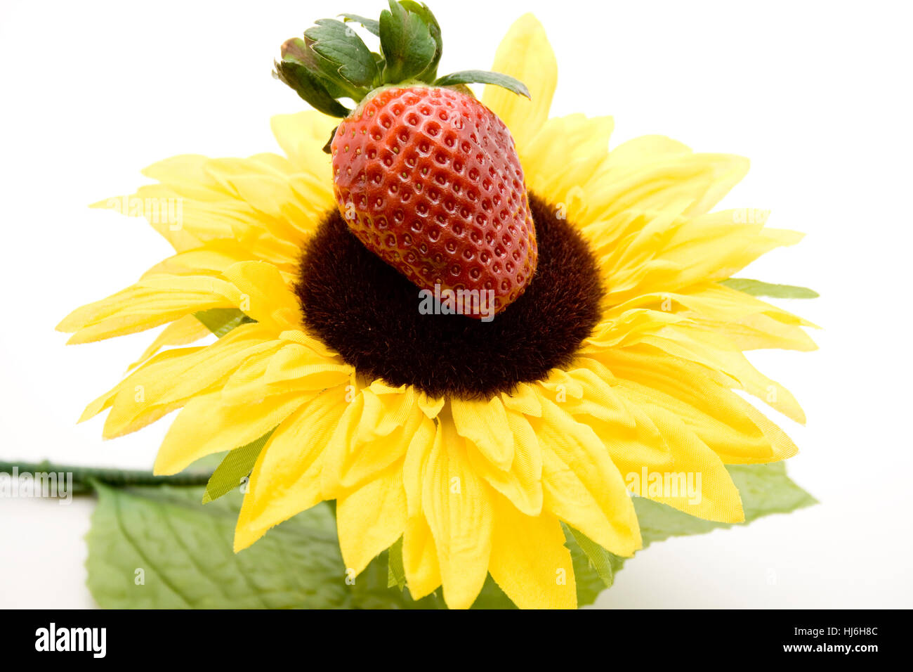 fragola rossa Foto Stock