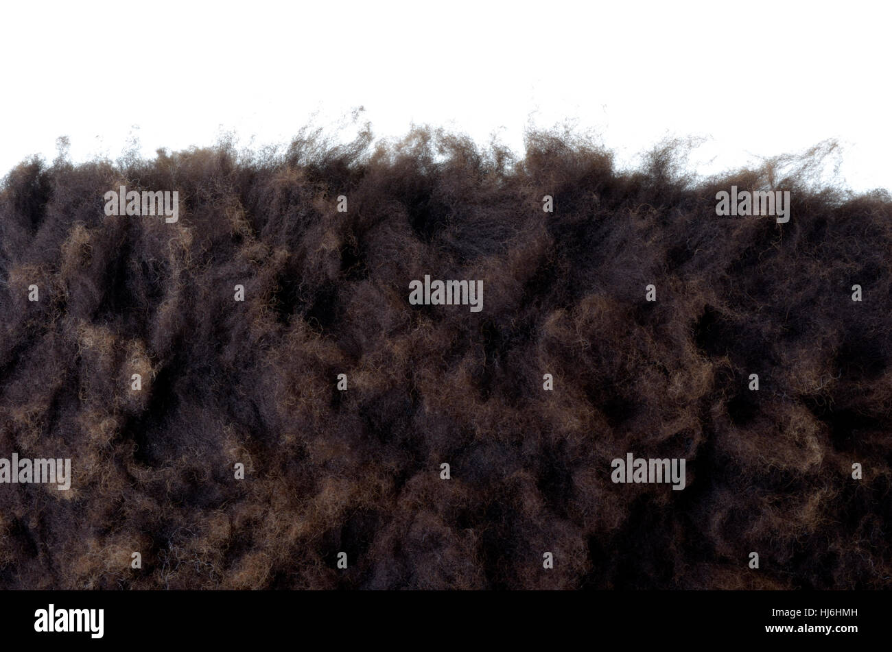 Nero, swarthy, jetblack, nero profondo, la pelliccia, la pelle, pecore, lana, profilo, dettaglio Foto Stock