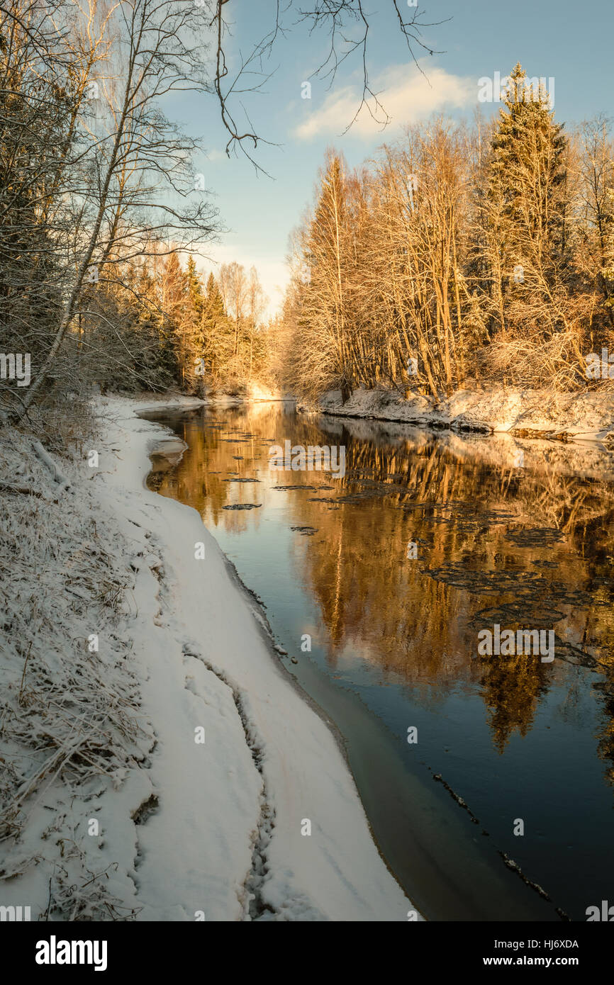 Foto del fiume in inverno con riflessioni, coperta di neve terra e alberi fotografia paesaggio Foto Stock