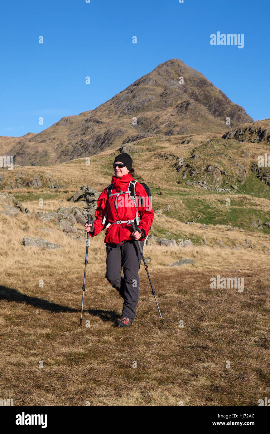 Il camminatore femmina nel parco nazionale di Snowdonia nel Galles del Nord, con Cnicht dietro. Foto Stock