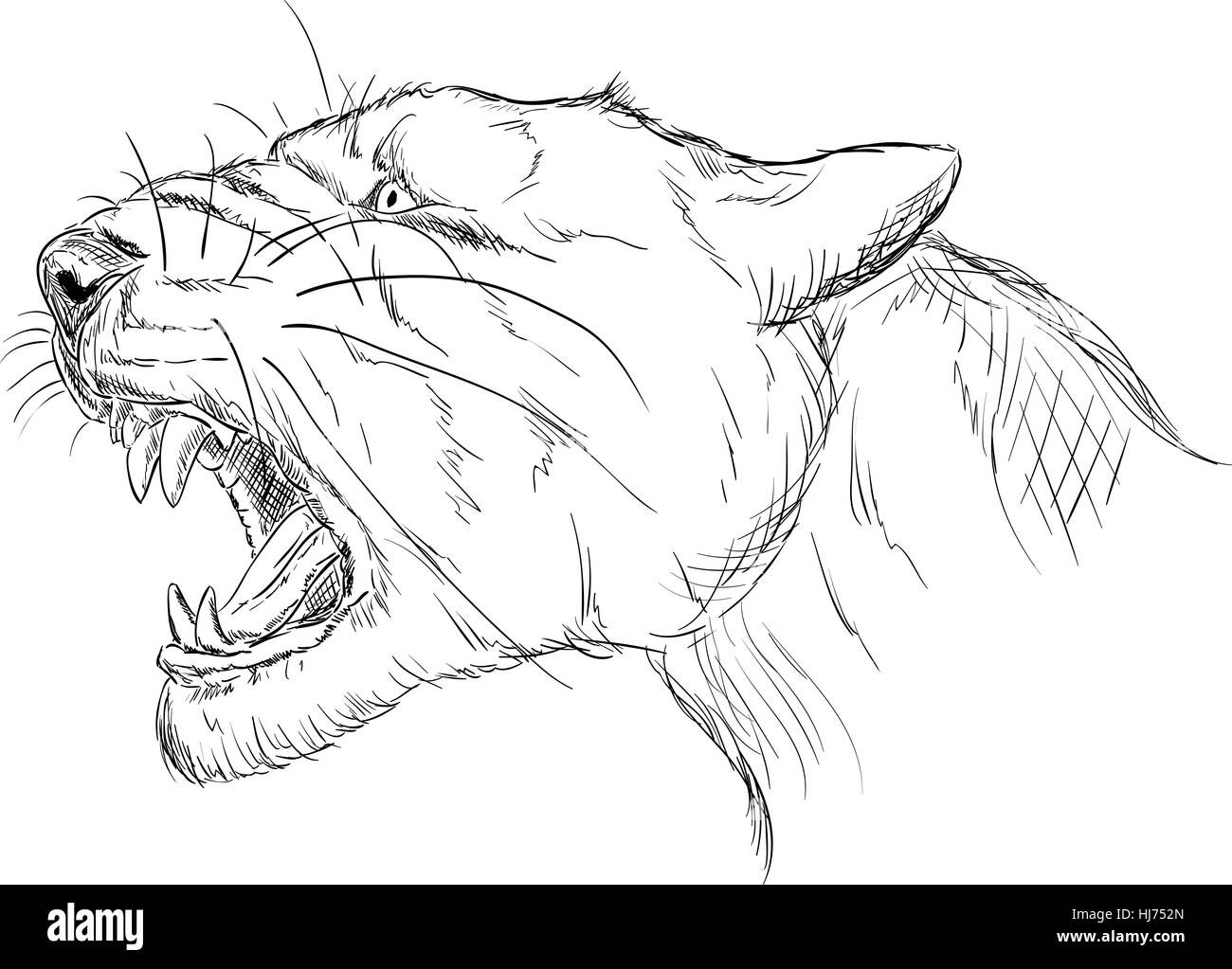 Isolato, colore, animale, nero, swarthy, jetblack, nero profondo, illustrazione Foto Stock