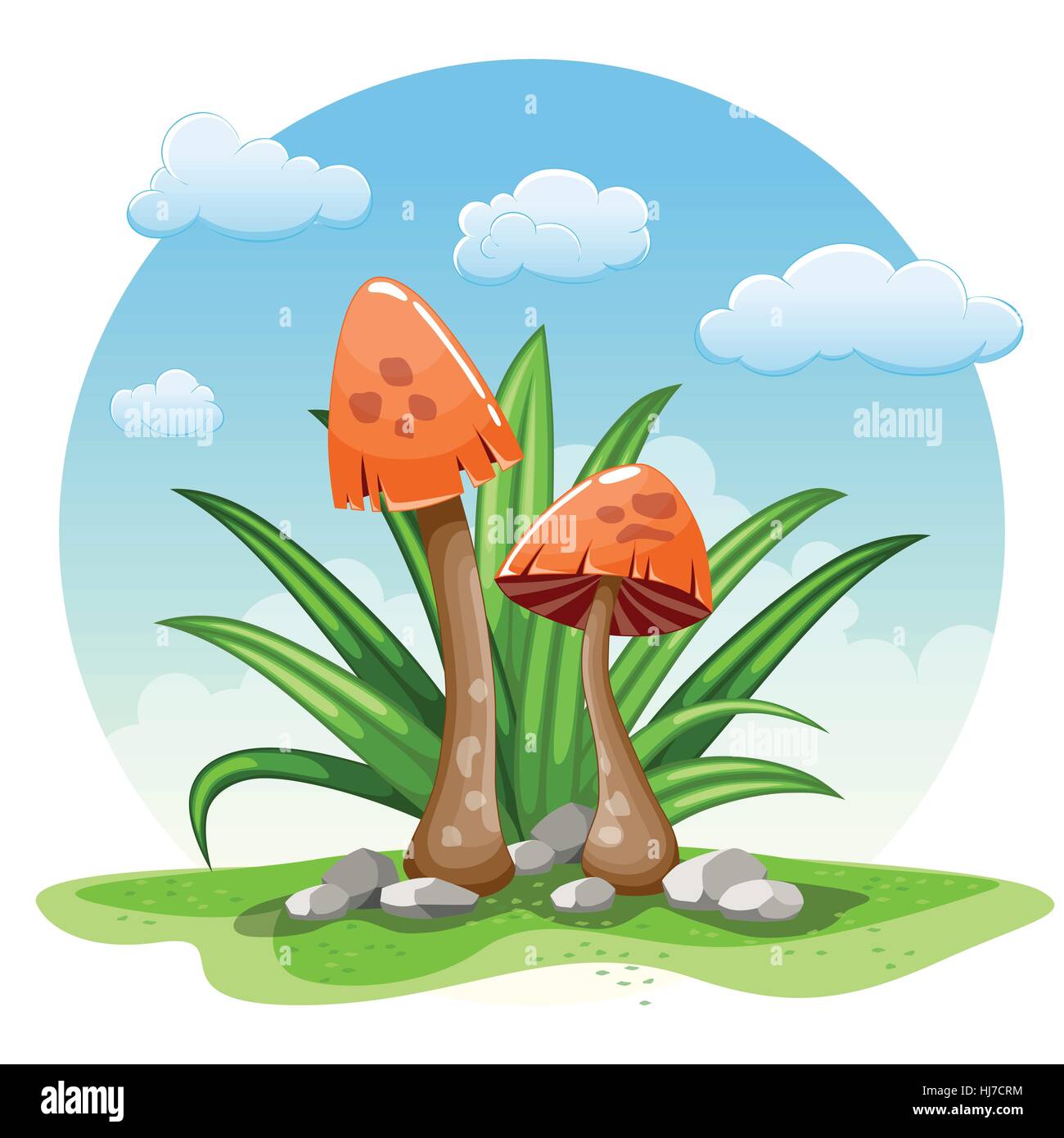 Illustrazione di cartoon funghi contro uno sfondo bianco Illustrazione Vettoriale