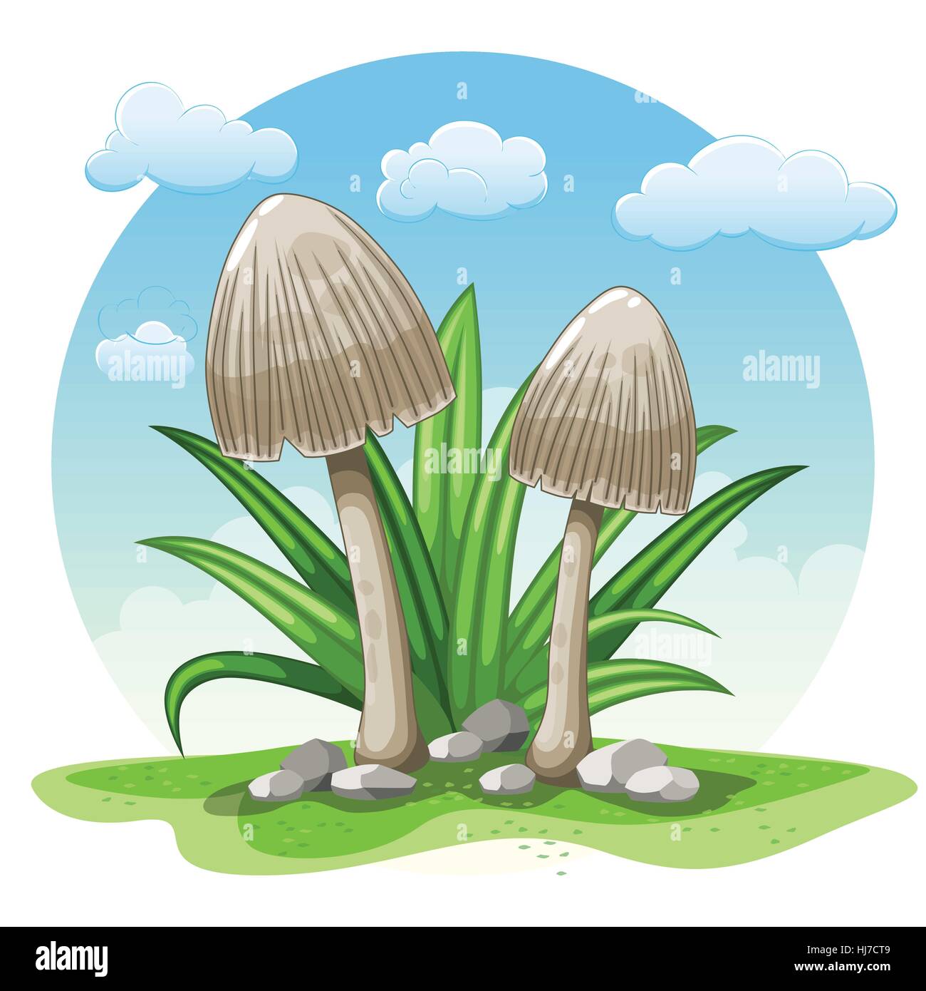 Illustrazione di cartoon funghi contro uno sfondo bianco Illustrazione Vettoriale