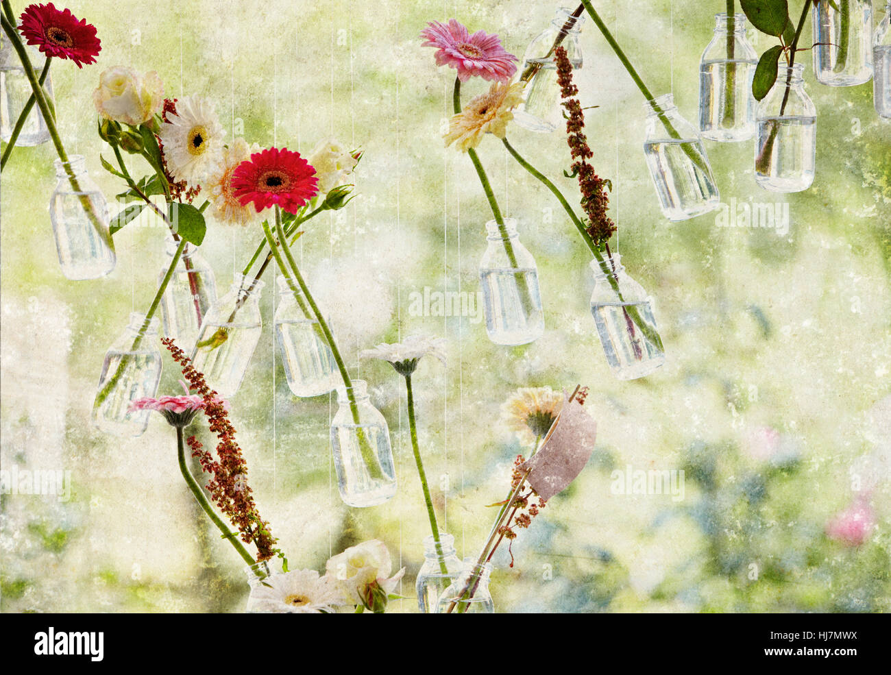 Fiore, rose, piante, finestra, oblò, abbaino, riquadro, pendente, bottiglia, Foto Stock