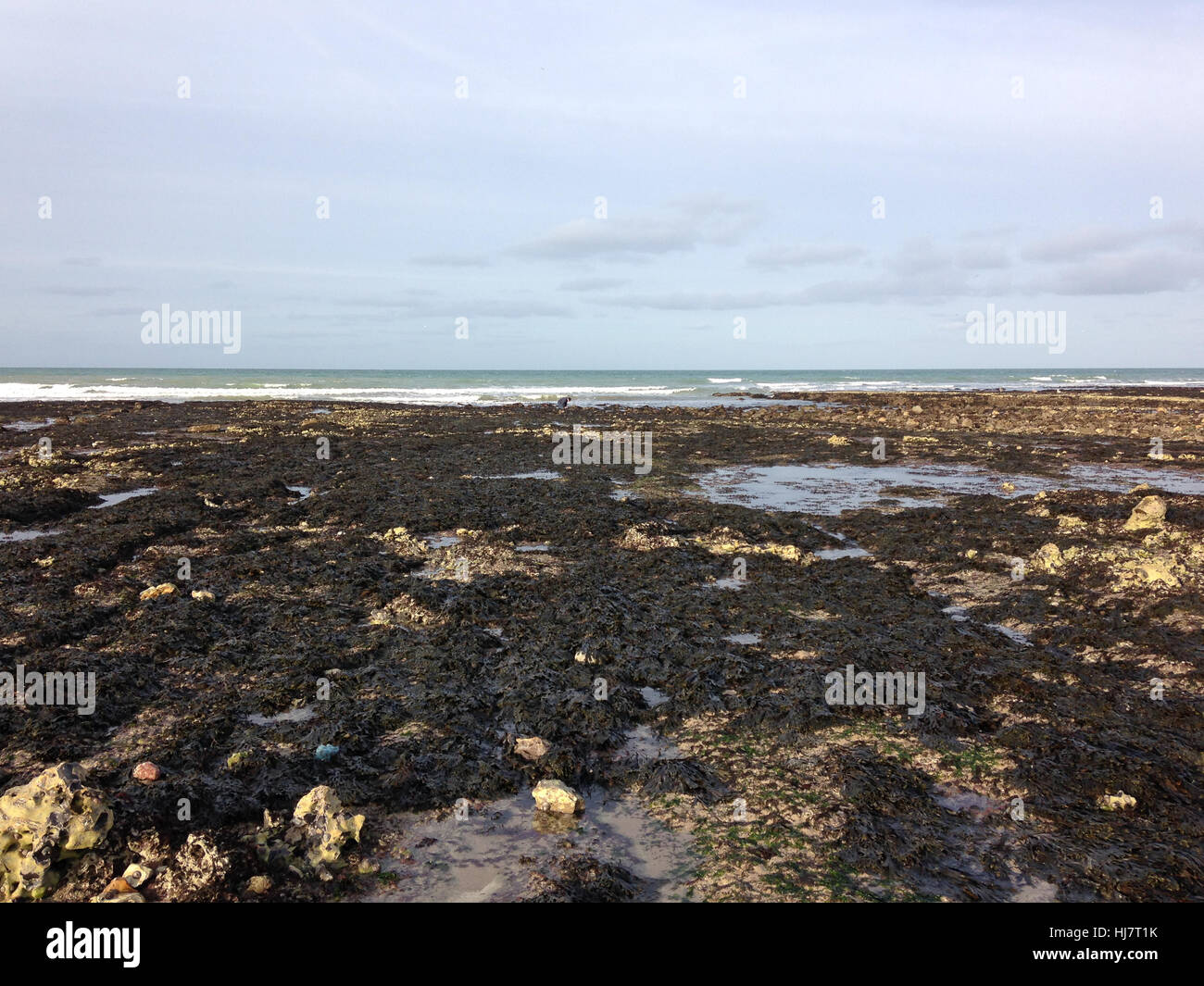 Rocce e ciottoli a bassa marea in Yport, Normandia, Francia Foto Stock