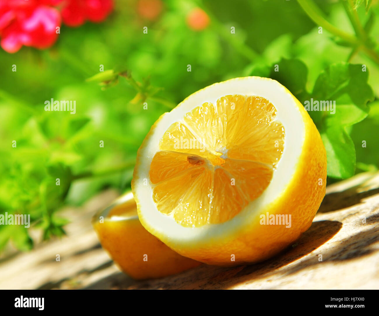 Giardino, estate, summerly, frutta succosa, limone candito, fresche, arancio, cibo, Foto Stock
