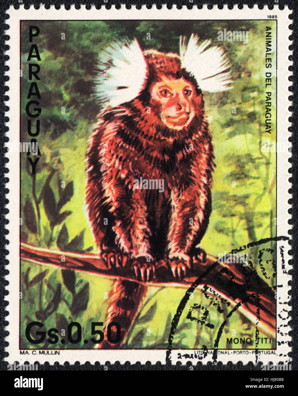 Un francobollo stampato in Paraguay mostra un bianco-eared marmoset,1985 Foto Stock