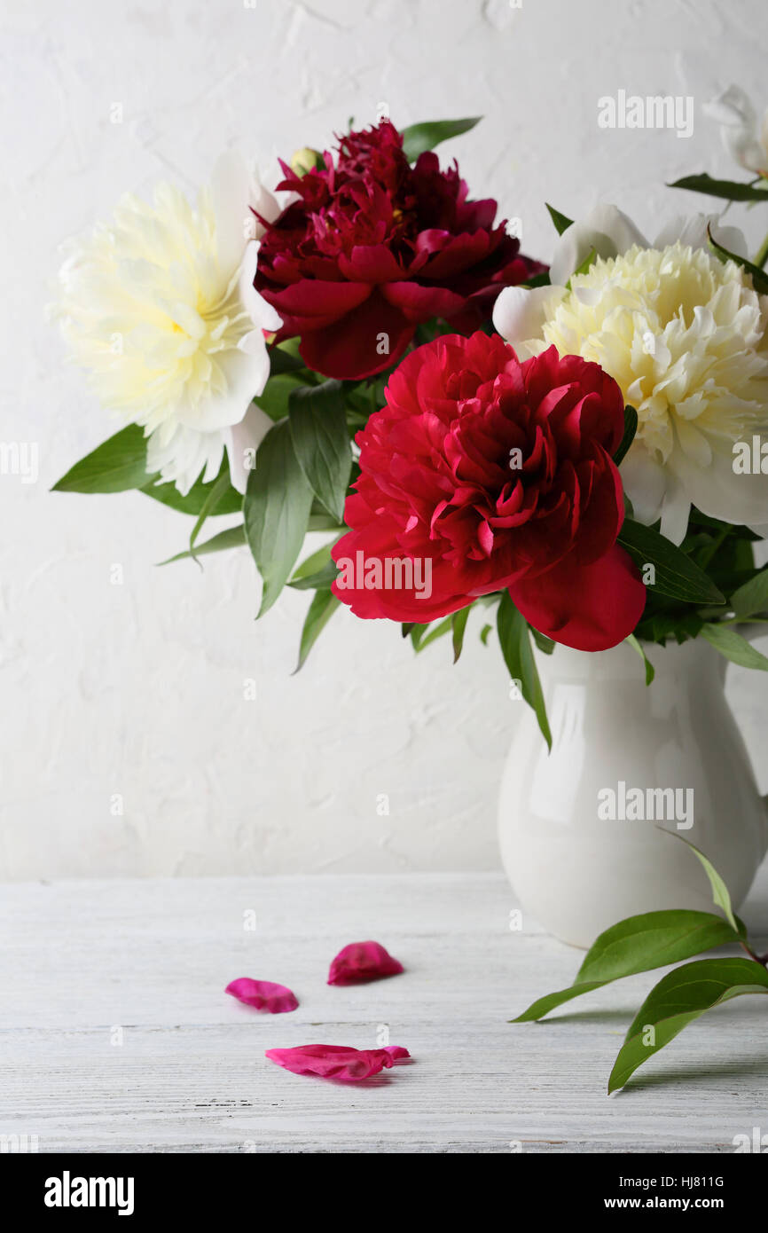 Fresche Le peonie nel vaso bianco, fiori closeup Foto Stock