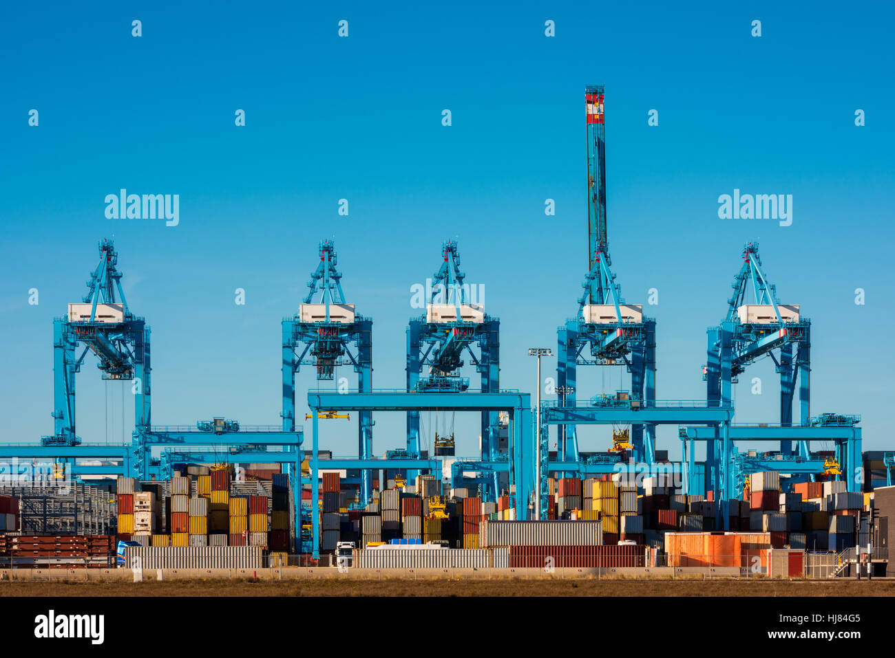 Grandi gru al terminal di container nel porto di Rotterdam Foto Stock