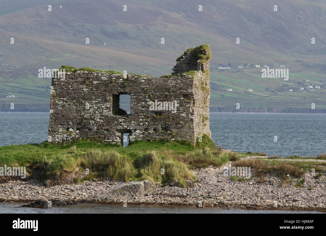 Ballinskelligs Castello a Ballinskelligs nella Contea di Kerry, Irlanda. Foto Stock