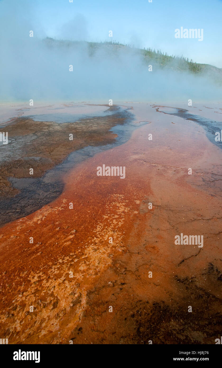 Risorse, microrganismi, geyser, blu, viaggi, liquido, l'ambiente, Foto Stock