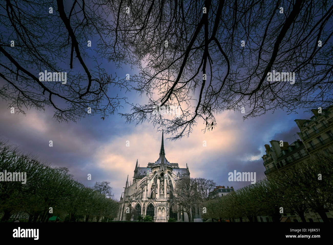La cattedrale di Notre Dame, Paris, Francia Foto Stock