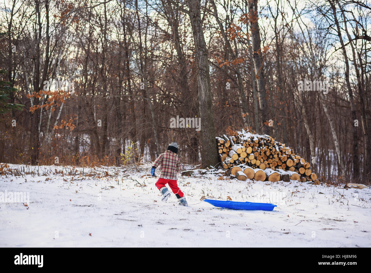 Ragazzo tirando la sua slitta attraverso la neve passato un palo di legno Foto Stock