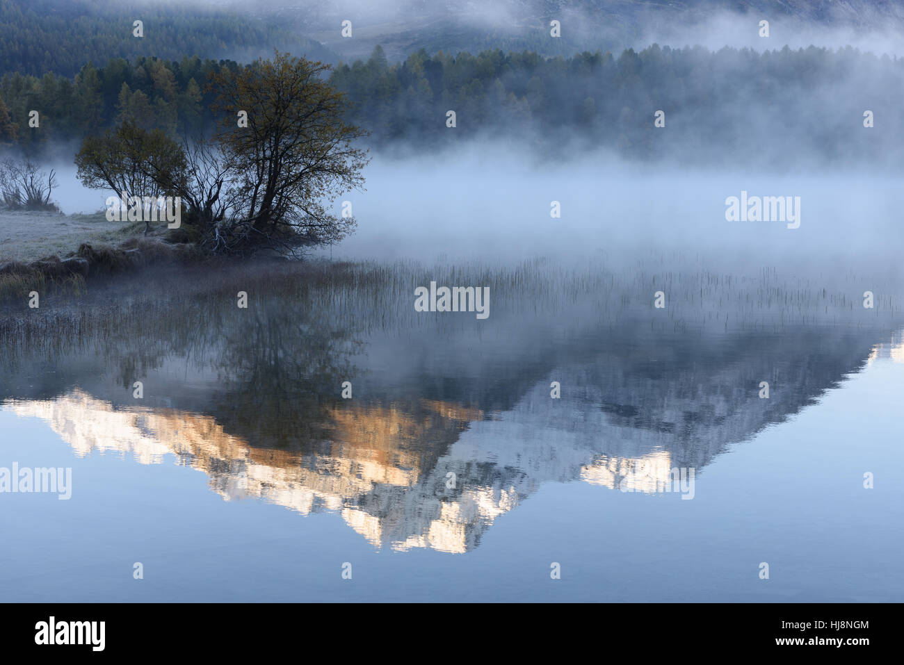 Riflessioni di montagna, lago di Sils, Engadina, Svizzera Foto Stock