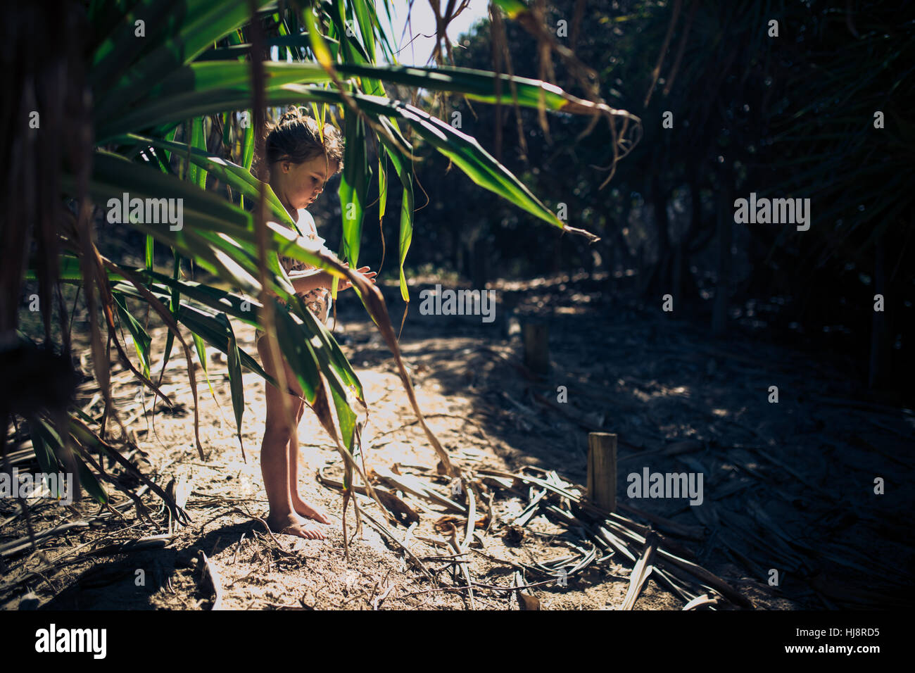 Ragazza sulla spiaggia di stare dietro a un albero Foto Stock Ragazza sulla spiaggia di stare dietro a un albero Foto Stock