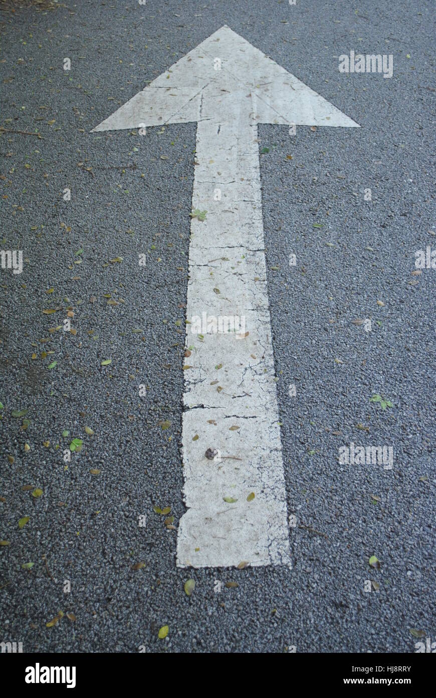 Simbolo freccia su strada Foto Stock
