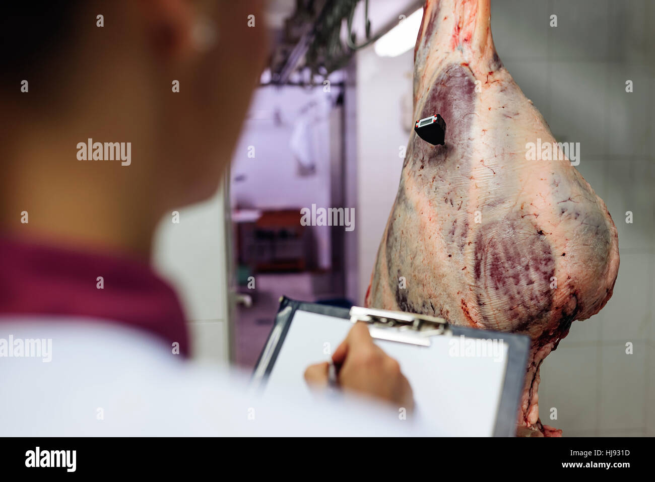 La qualità della carne il controllo in macelleria. Foto Stock