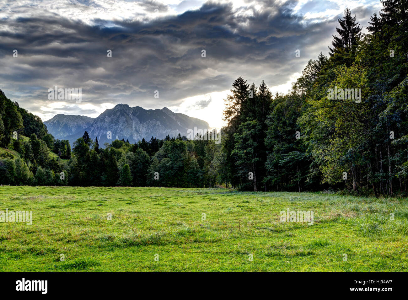 Verde, estate, summerly, thunderclouds, domani la luce, allgu, prato, Foto Stock