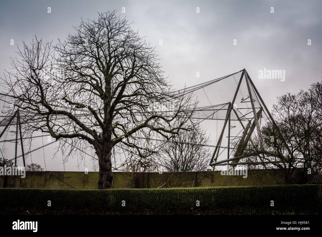 L'iconico Snowdon Walk-Though voliera involucro allo Zoo di Londra, London, Regno Unito Foto Stock