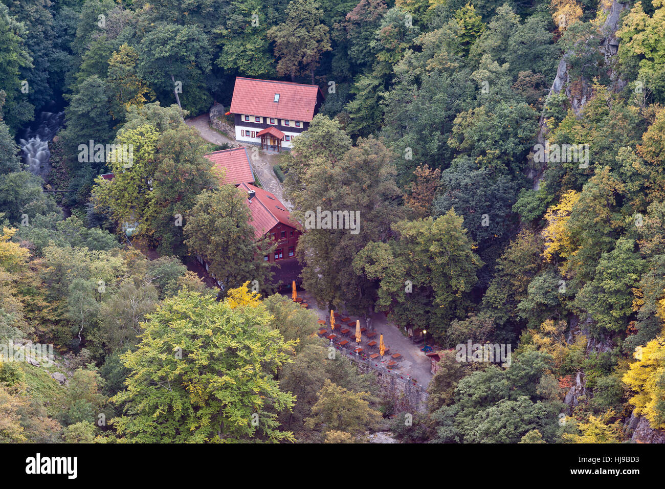 Visite turistiche, resina, valley, autunno autunno, albero, alberi, rock, visite turistiche, Foto Stock