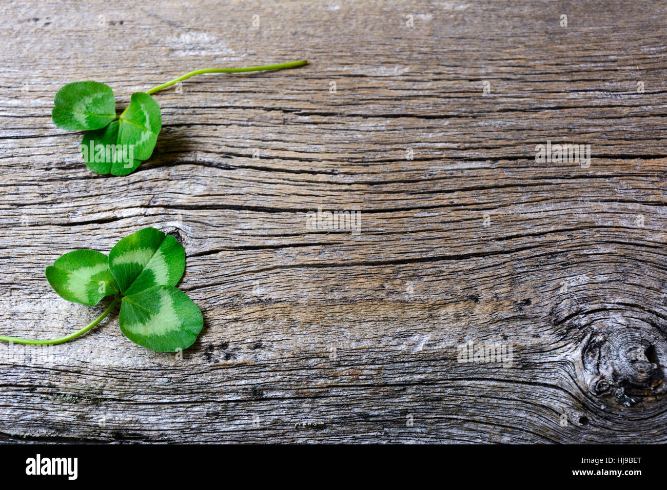 Festa di San Patrizio biglietto di auguri con vacanze trifoglio simbolo. Shamrock lascia setup sul vecchio grunge sfondo di legno. Copia dello spazio. Foto Stock