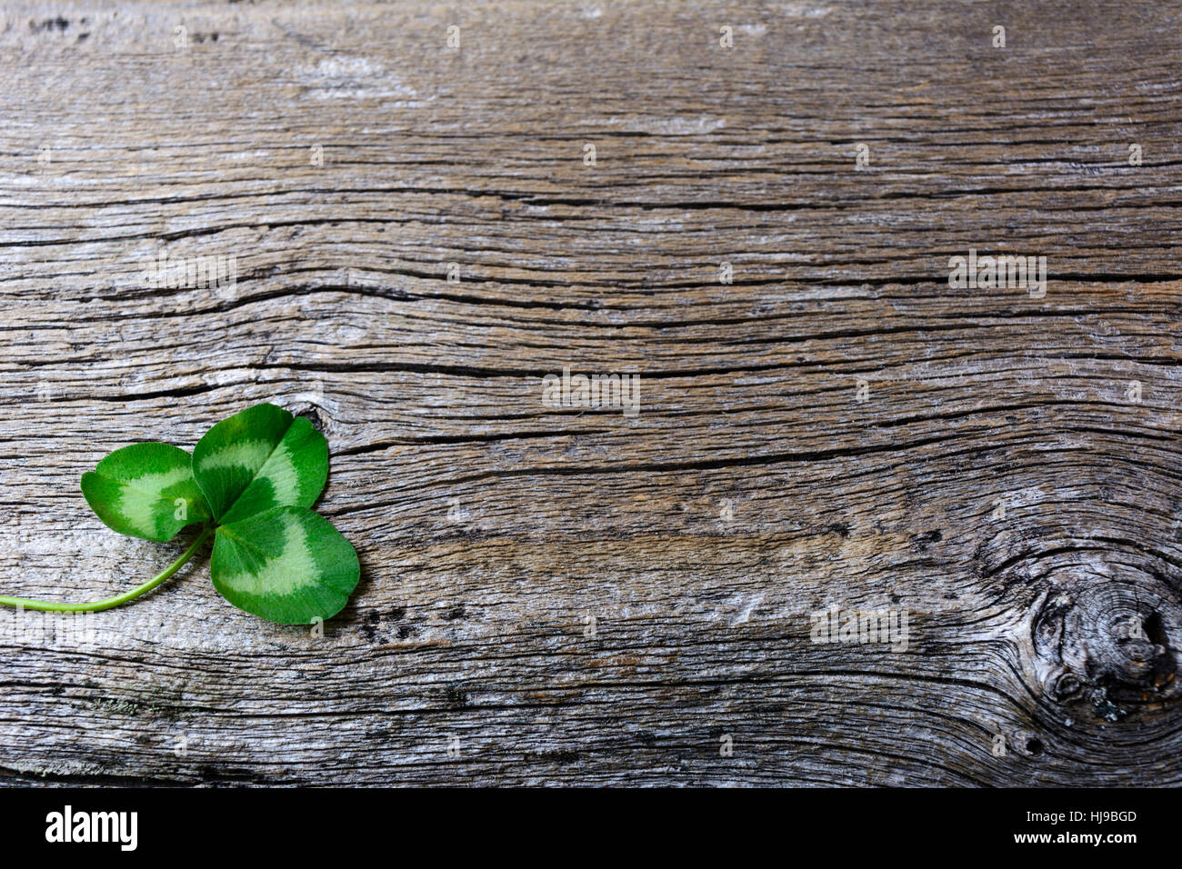 Festa di San Patrizio biglietto di auguri con tre foglie di trifoglio Festival irlandese di simbolo. Shamrock sul vecchio sfondo di legno. Copia dello spazio. Foto Stock