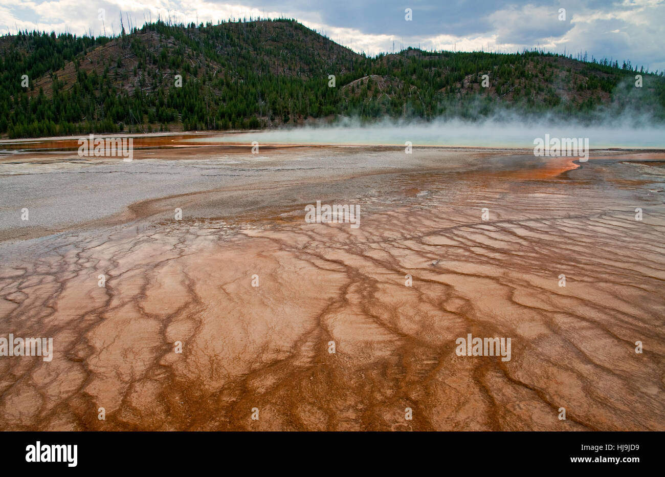 Risorse, microrganismi, geyser, blu, viaggi, liquido, l'ambiente, Foto Stock