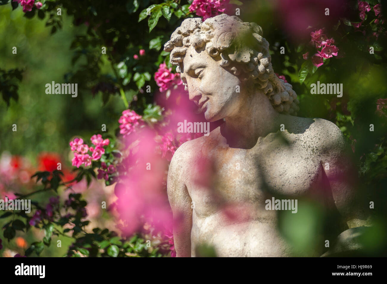 Parco, giardino, fiori, piante, statua, bloom, blossom, fiorire, fiorente, Foto Stock
