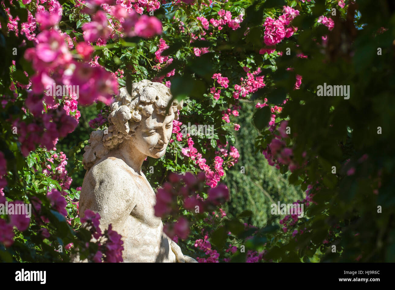 Parco, giardino, fiori, piante, statua, bloom, blossom, fiorire, fiorente, Foto Stock