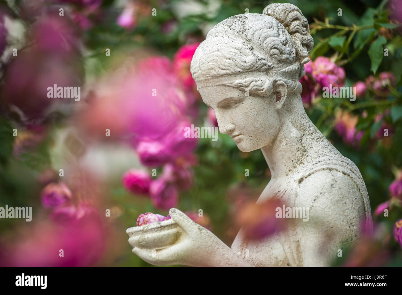 Parco, giardino, fiori, piante, statua, bloom, blossom, fiorire, fiorente, Foto Stock