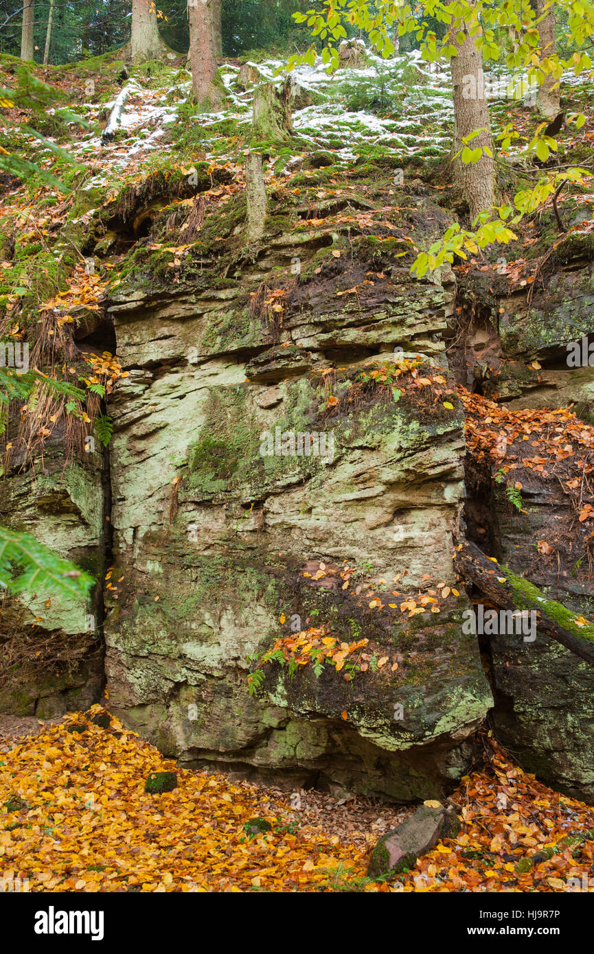 La conservazione della natura, la foresta vergine, europa autunnale, rock, Foto Stock