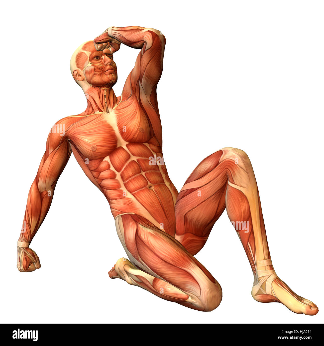 3D Rendering Muskelaufbau Mann in sitzender pongono Foto Stock