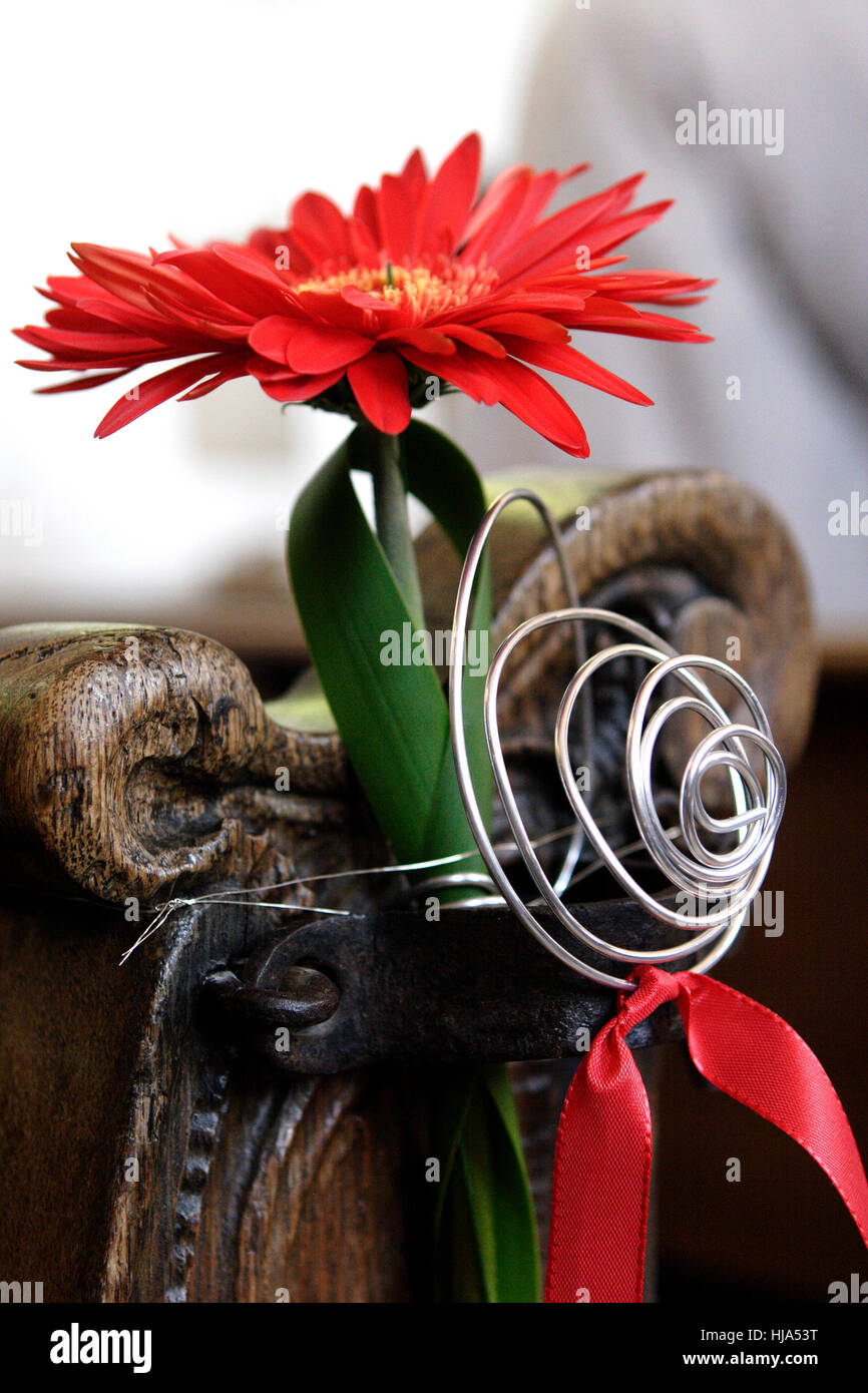 Flower, piante, fiori, argento, composizioni floreali, mer, gerbera, cuore, Foto Stock