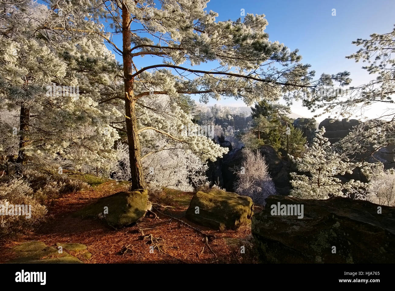 Elba montagne di arenaria in inverno e brina Foto Stock