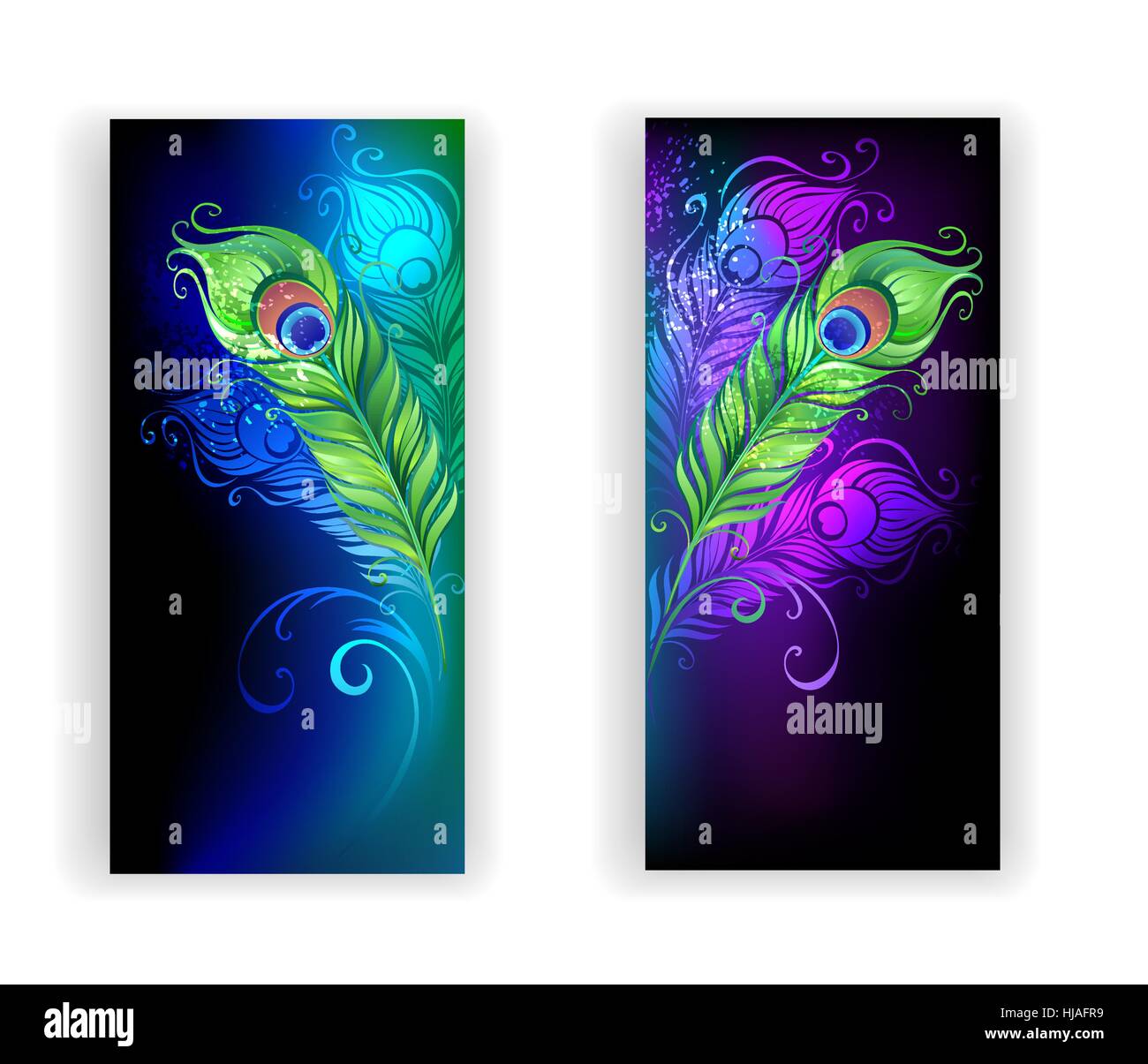 Due striscioni colorati con penne di pavone su uno sfondo nero. Illustrazione Vettoriale