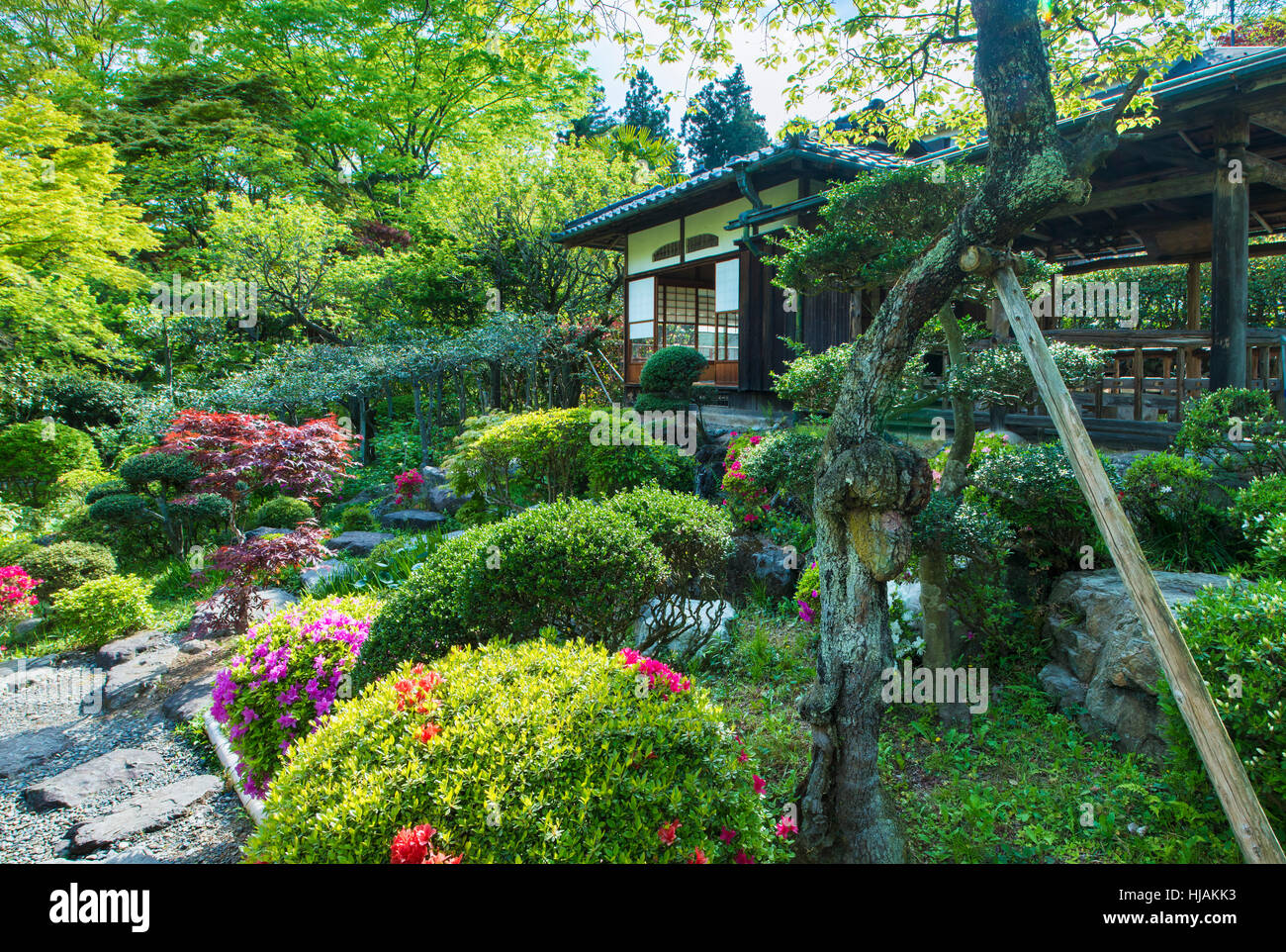 Un tradizionale giardino giapponese del tè e la casa, chashitsu, vicino a Tokyo in Giappone Foto Stock